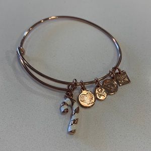 Alex and Ani Bangle Candy Cane